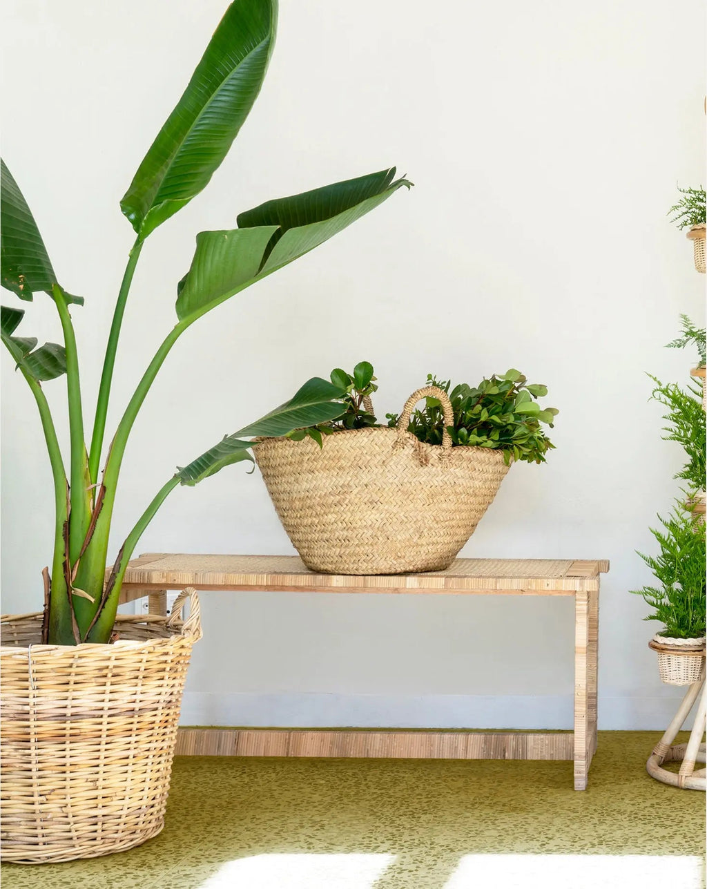 Banc en rotin Cynthia Ferguson
